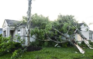 Beech Grove storm damage