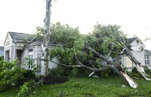 Warren Park hail damage