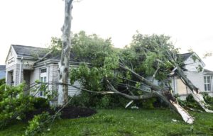 Indianapolis storm damage