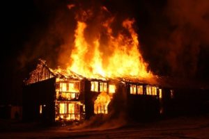 Warren Park fire